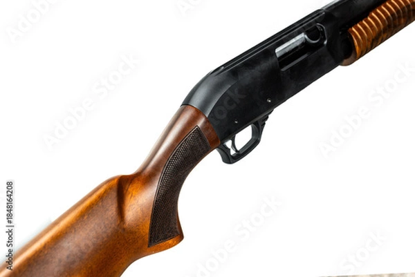 Obraz hunting rifle