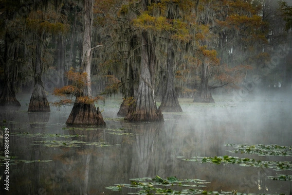 Obraz autumn forest lake