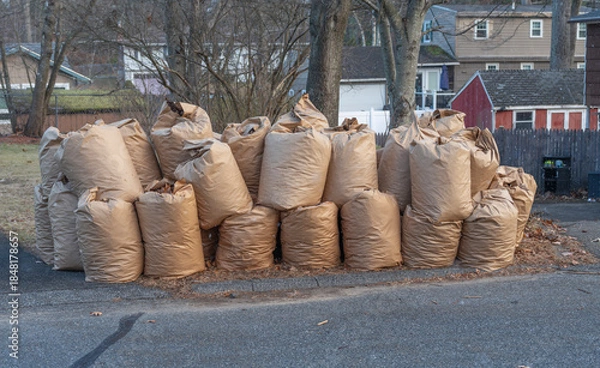Fototapeta fallen leaves collected in recycle paper bag in autumn for curbside recycling