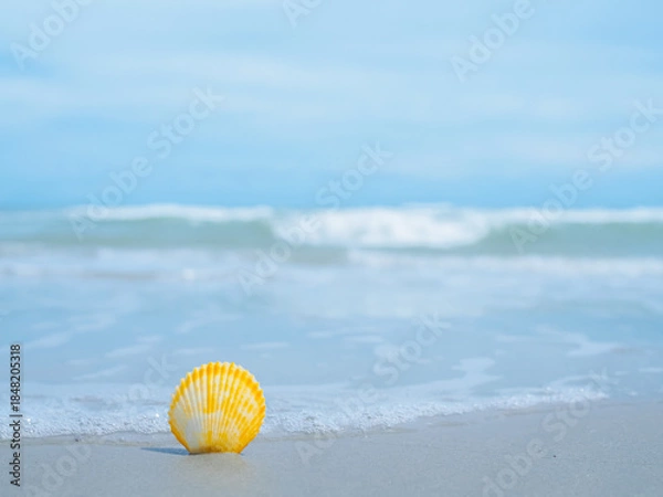 Fototapeta Shell on the beach with ocean waves