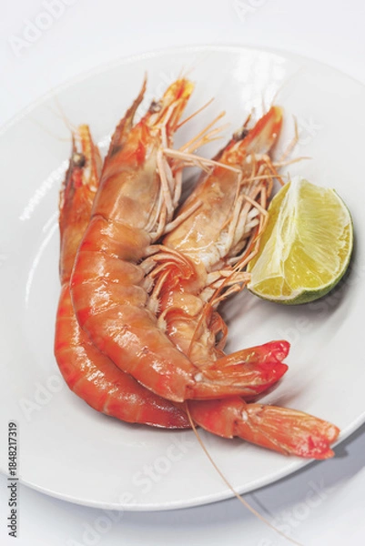 Obraz Seafood tasting on a white background