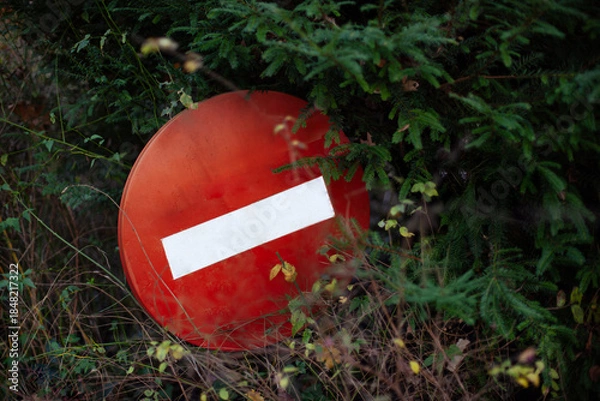 Obraz It is forbidden to enter the forest