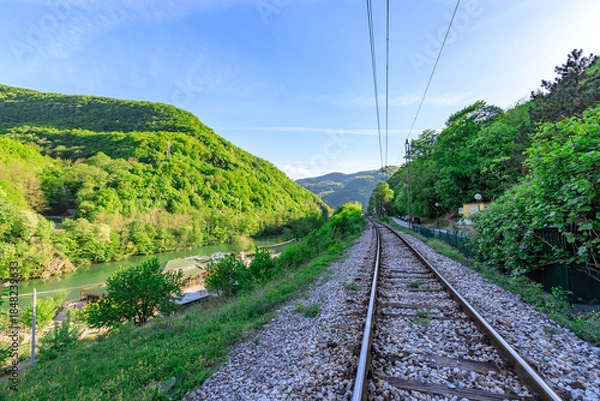 Obraz Train tracks run through a lush green forest