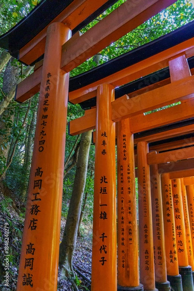 Obraz Kyoto in Japan