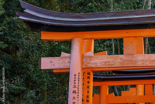 Obraz Kyoto in Japan