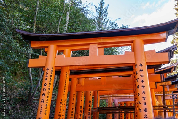 Obraz Kyoto in Japan