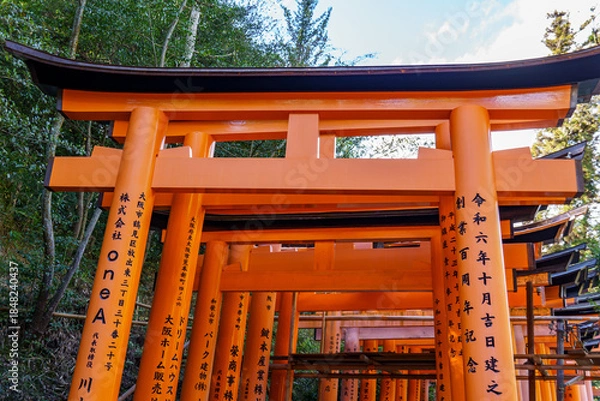 Obraz Kyoto in Japan