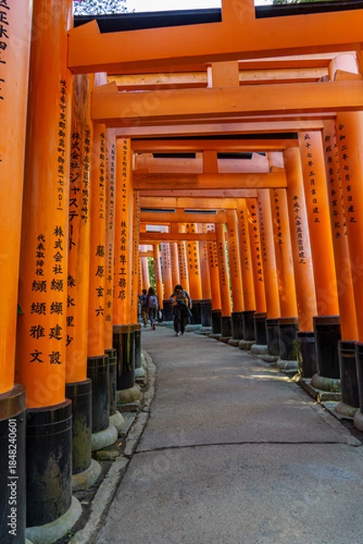 Obraz Kyoto in Japan