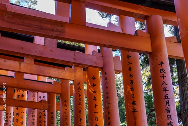 Obraz Kyoto in Japan