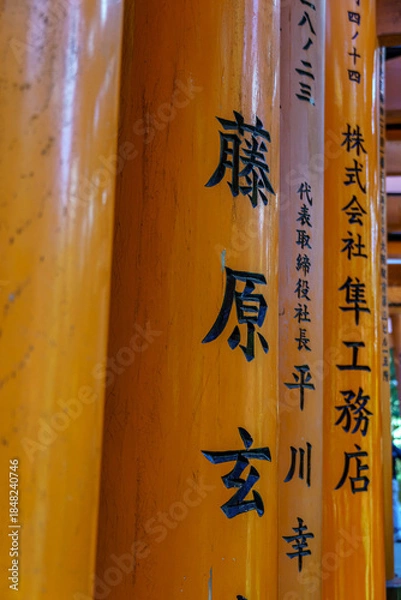 Obraz Kyoto in Japan