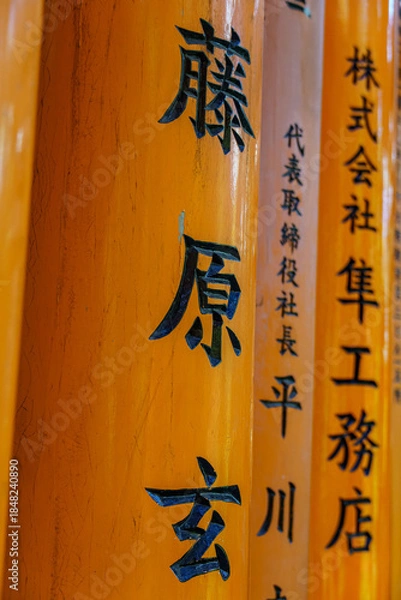 Obraz Kyoto in Japan