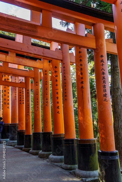 Obraz Kyoto in Japan