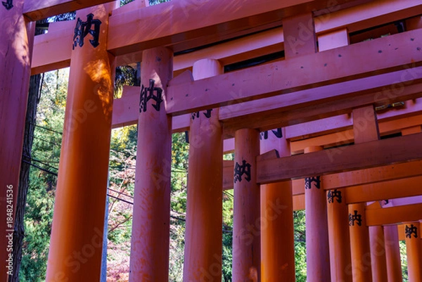 Obraz Kyoto in Japan