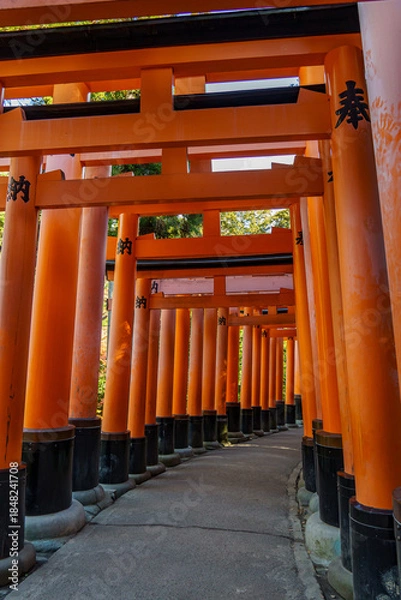 Obraz Kyoto in Japan