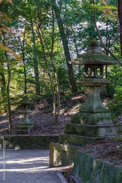 Obraz Kyoto in Japan