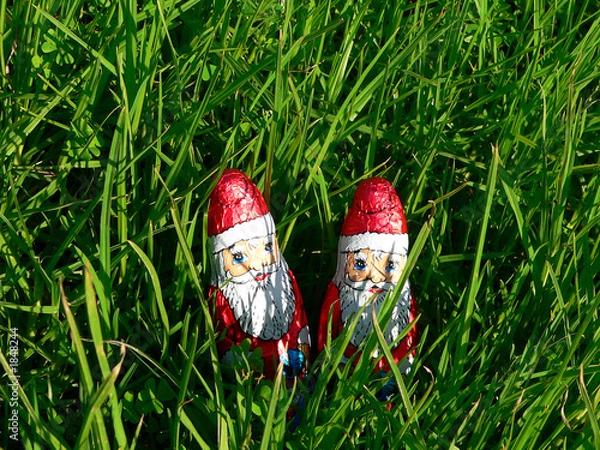 Obraz grüne weihnachten