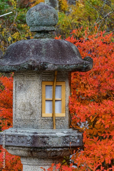 Obraz Kyoto in Japan