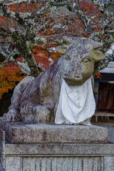 Obraz Kyoto in Japan