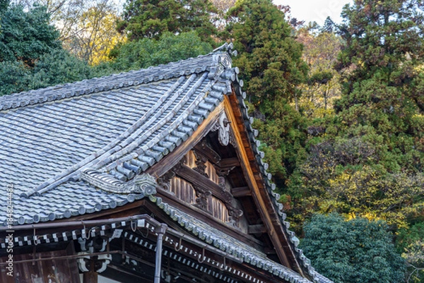 Obraz Kyoto in Japan