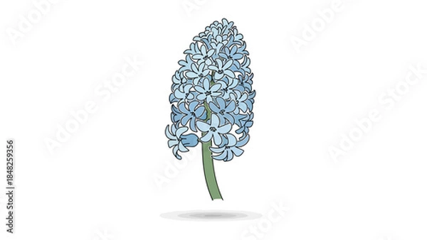 Obraz blue hyacinth flower
