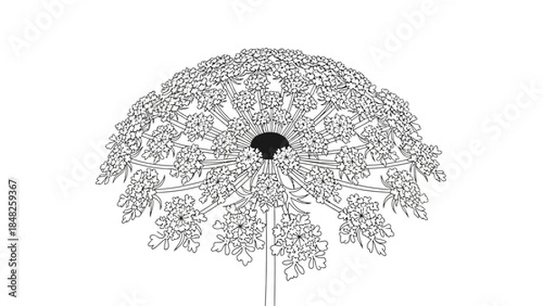 Obraz dandelion seed head