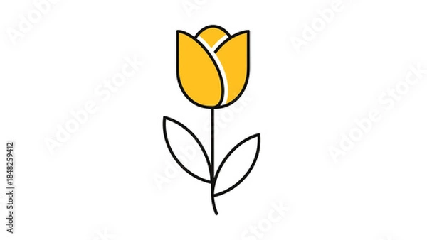 Obraz yellow tulip isolated on white