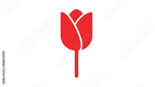 Obraz red feather isolated on white