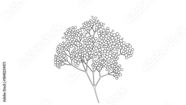 Obraz silhouette of a tree