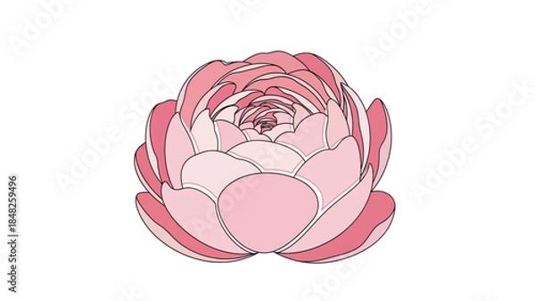 Obraz pink lotus flower