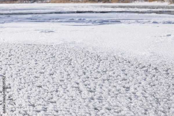 Obraz 北海道むかわ町、鵡川に現れたフロストフラワー【12月】