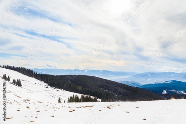 Obraz Stunning panoramic view of snow-covered Carpathians mountain landscape, dense evergreen forests and distant peaks under cloudy sky. Pristine, snowy slope with undulations and scattered pine trees