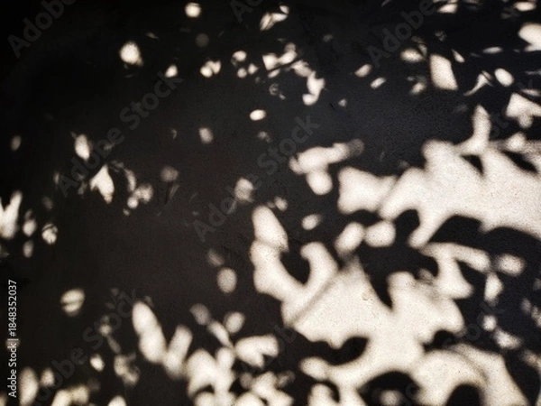 Obraz Light and shadow on the wall surface.