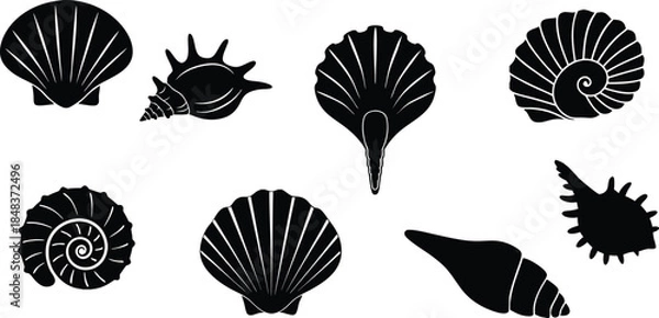 Obraz Sea shell silhouettes collection with marine shapes. Black shell icons including scallop and spiral forms.