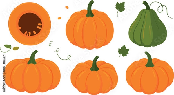 Fototapeta Flat Style Pumpkin and Squash Set with Whole, Cut and Green Gourds Illustration