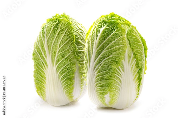 Obraz 日本の冬野菜の白菜