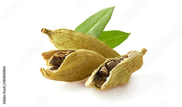 Obraz cardamon on white background