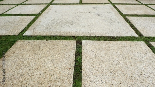 Fototapeta A top-down perspective of square concrete paving slabs with a speckled stone texture, separated by thin strips of green grass growing in the gaps of a modern garden walkway.