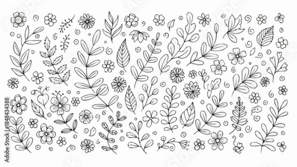 Obraz Hand Drawn Botanical Elements and Flowers Collection.