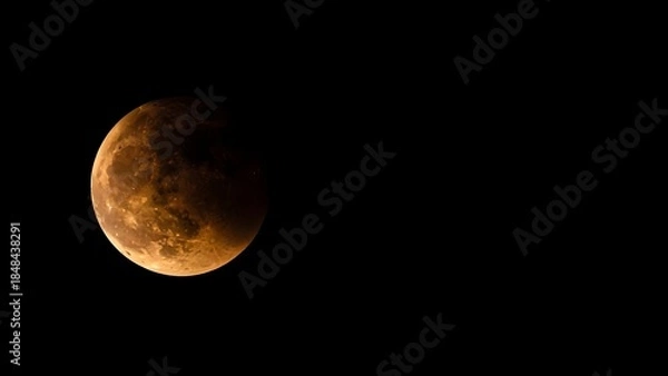 Obraz Lunar Eclipse in Dark Skies