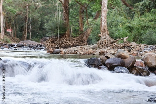 Obraz river in the forest