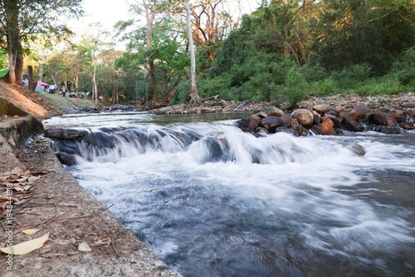 Obraz waterfall in the forest
