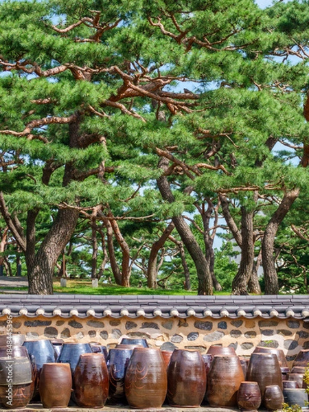 Obraz 한국 장을 담는 항아리가 모여있는 장독대 풍경