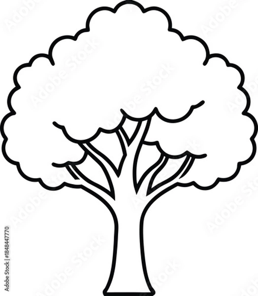Obraz Minimalist oak tree line art vector graphic nature