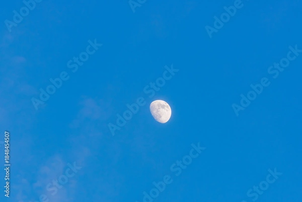 Fototapeta 冬の朝の空に浮かぶ白い月03