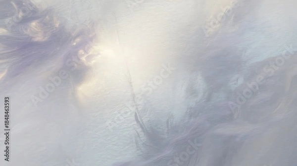 Fototapeta Soft Focus Abstract Feather Texture Background image