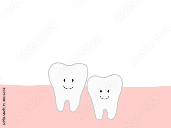 Fototapeta 健康で元気な2本の下の歯：かわいいキャラクターのイラスト・主線あり