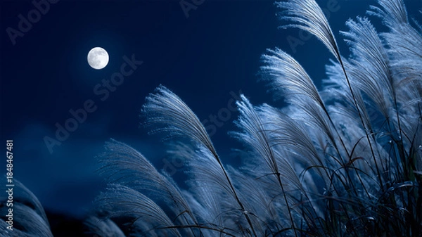 Fototapeta 満月と薄雲とすすきが映る秋の夜空の景色