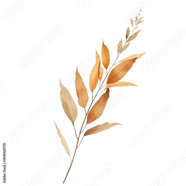Fototapeta A branch with golden leaves isolated on a white background viewed from the side