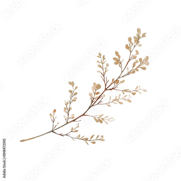 Fototapeta A delicate branch with golden leaves isolated on a white background viewed from a straightforward angle