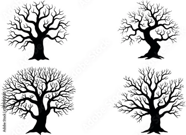 Fototapeta Four silhouetted trees